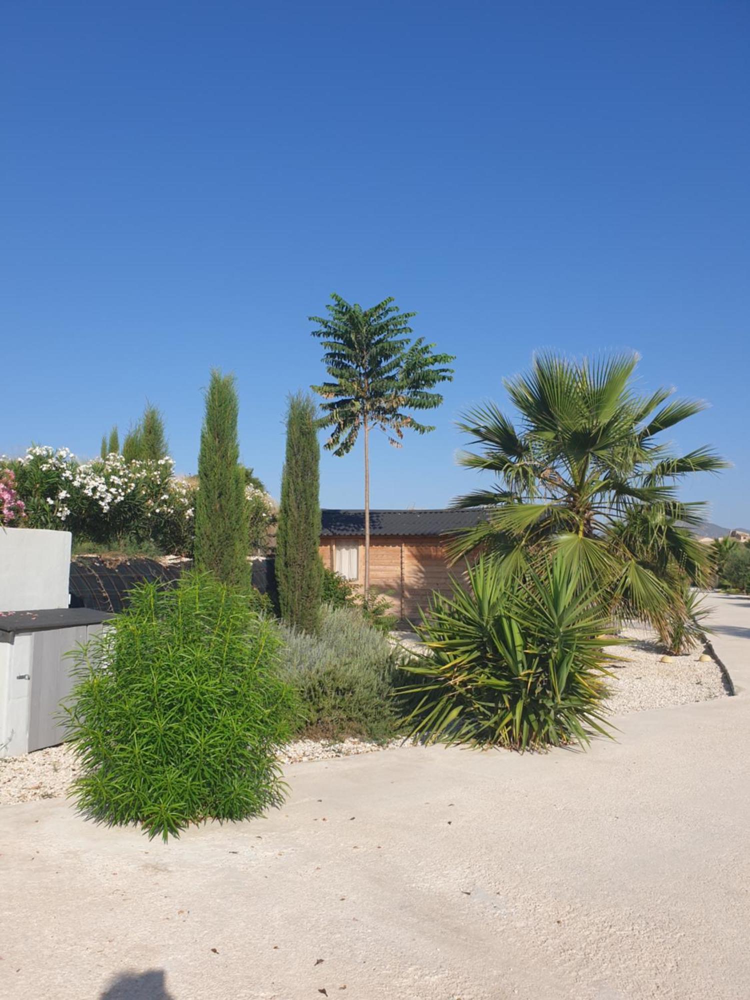 Villa Casa de la Vida Liebetruth A Aspe Exterior foto